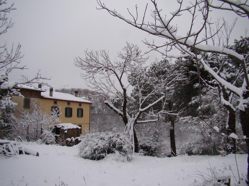 Bed & Breakfast Borgo Tepolini Castel del Piano (Tuscany)