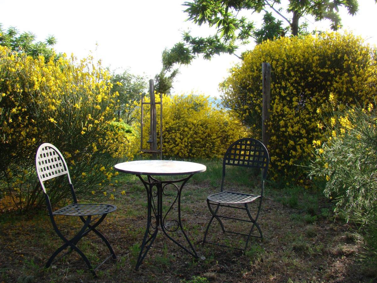 Borgo Tepolini Castel del Piano (Tuscany)