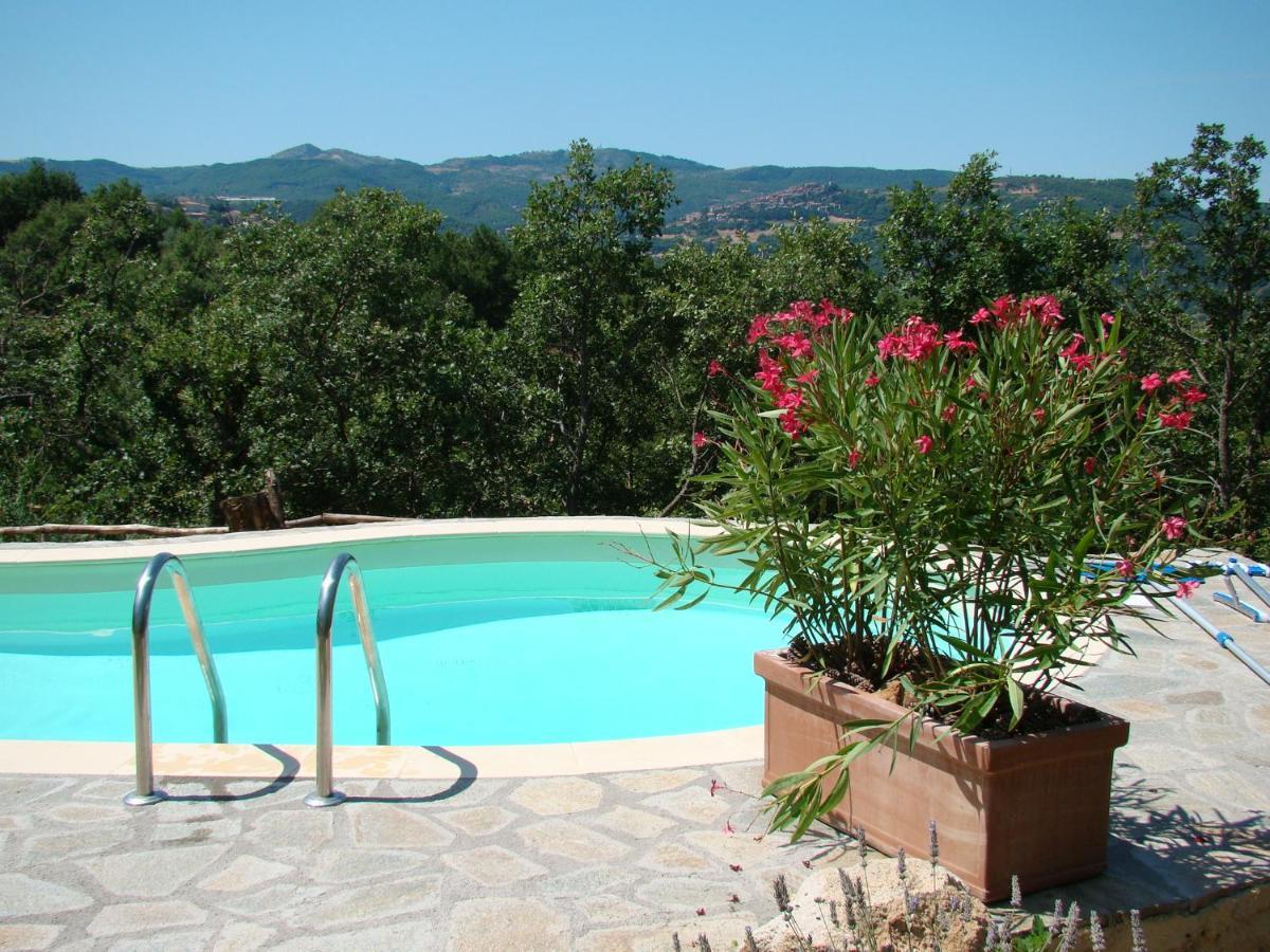 Bed & Breakfast Borgo Tepolini Castel del Piano (Tuscany)