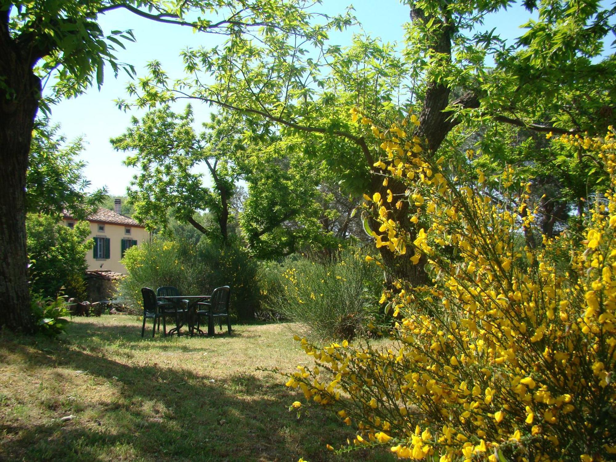 Bed & Breakfast Borgo Tepolini Castel del Piano (Tuscany)