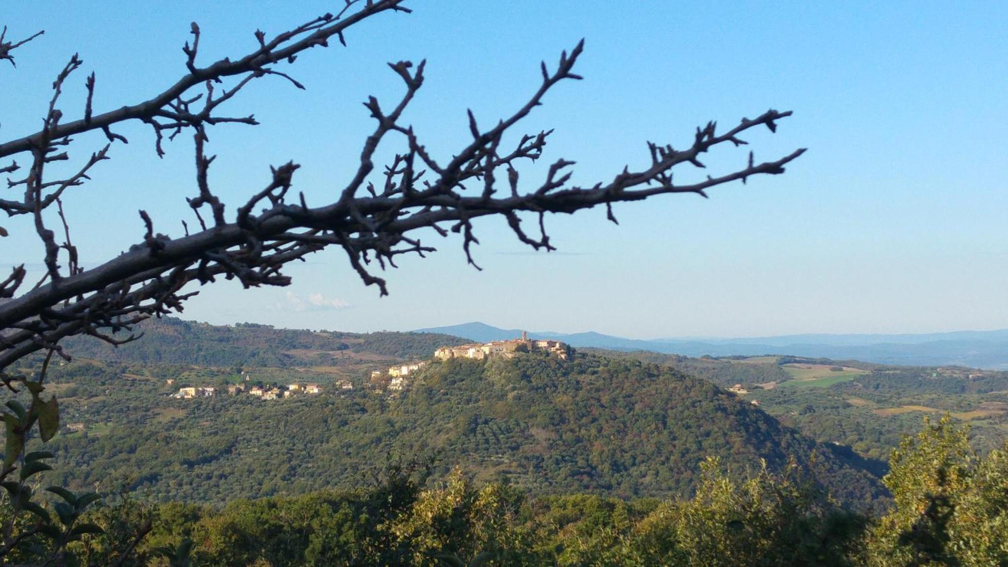 Borgo Tepolini Bed & Breakfast Castel del Piano (Tuscany)